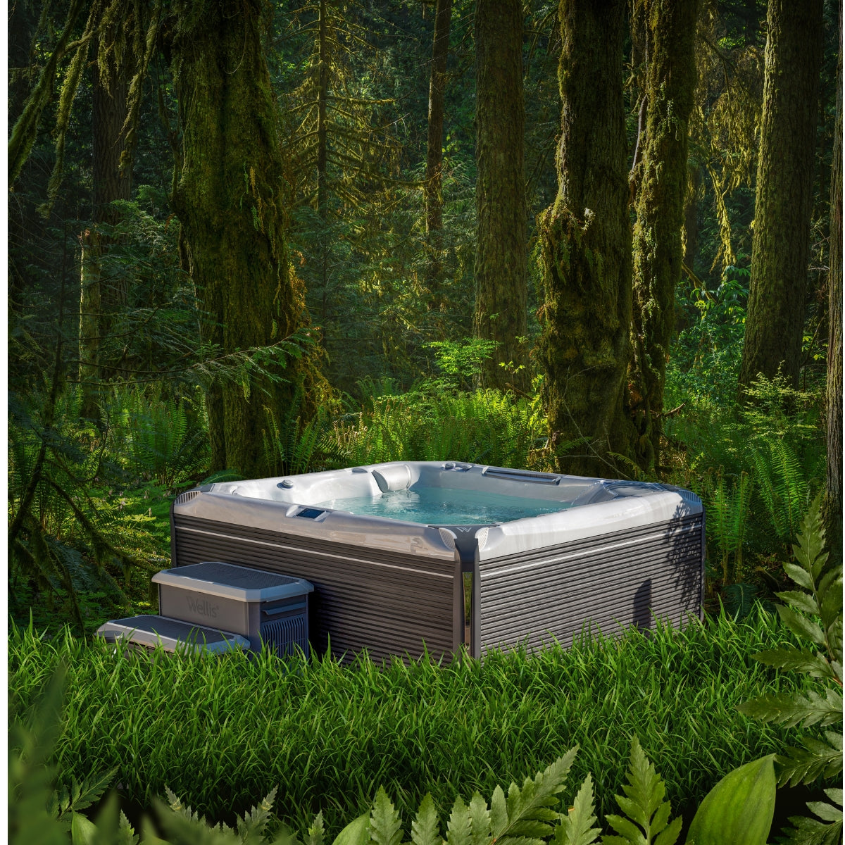 Outdoor Whirlpool Wellis Everest Life